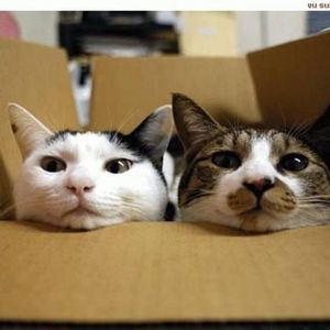 Meet your Posher, Maureen